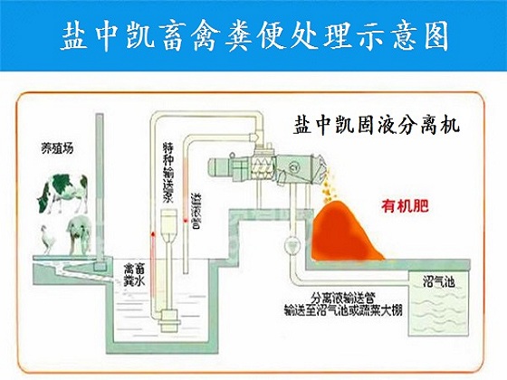 雞糞固液分離機(jī)